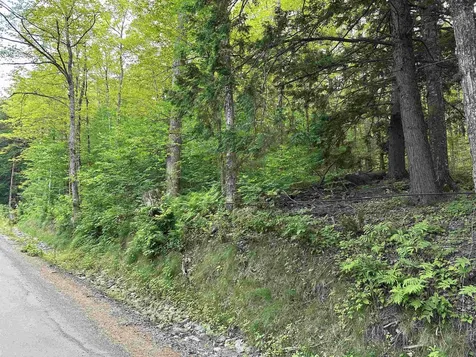 Goulden Ridge Road Weathersfield VT 05030
