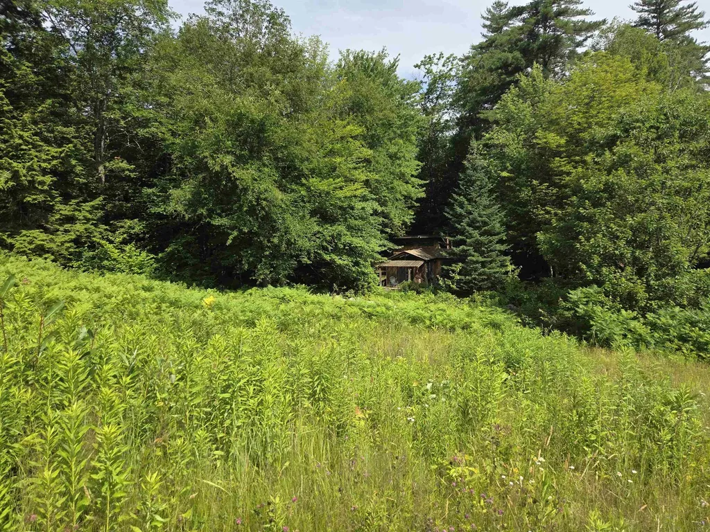 49 Pedrick Road Wilmot NH 03287