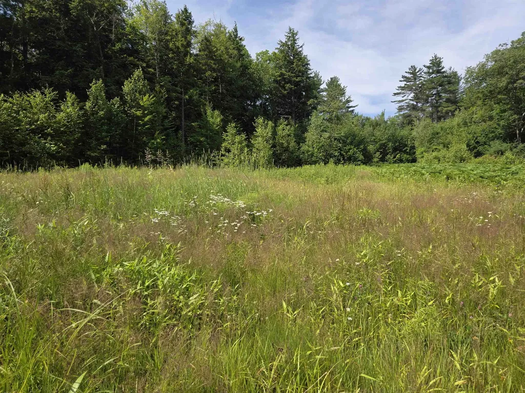 49 Pedrick Road Wilmot NH 03287