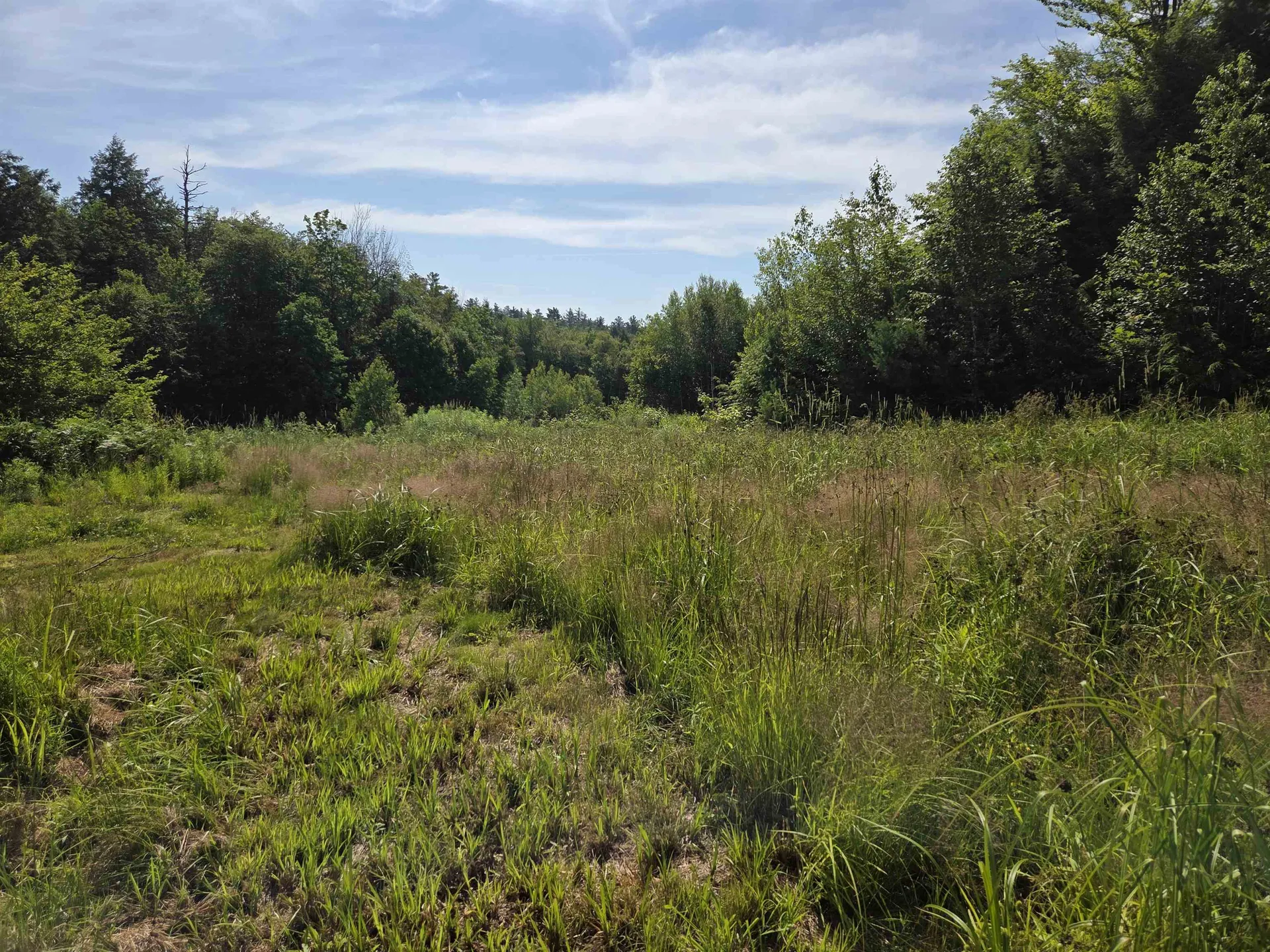 49 Pedrick Road Wilmot NH 03287