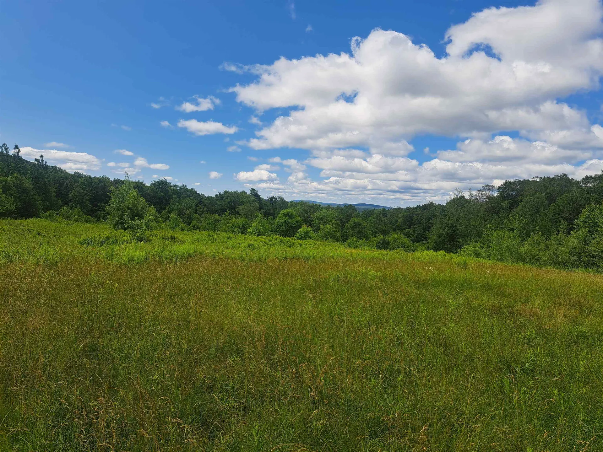 1570 Somerset Road Somerset VT 05363