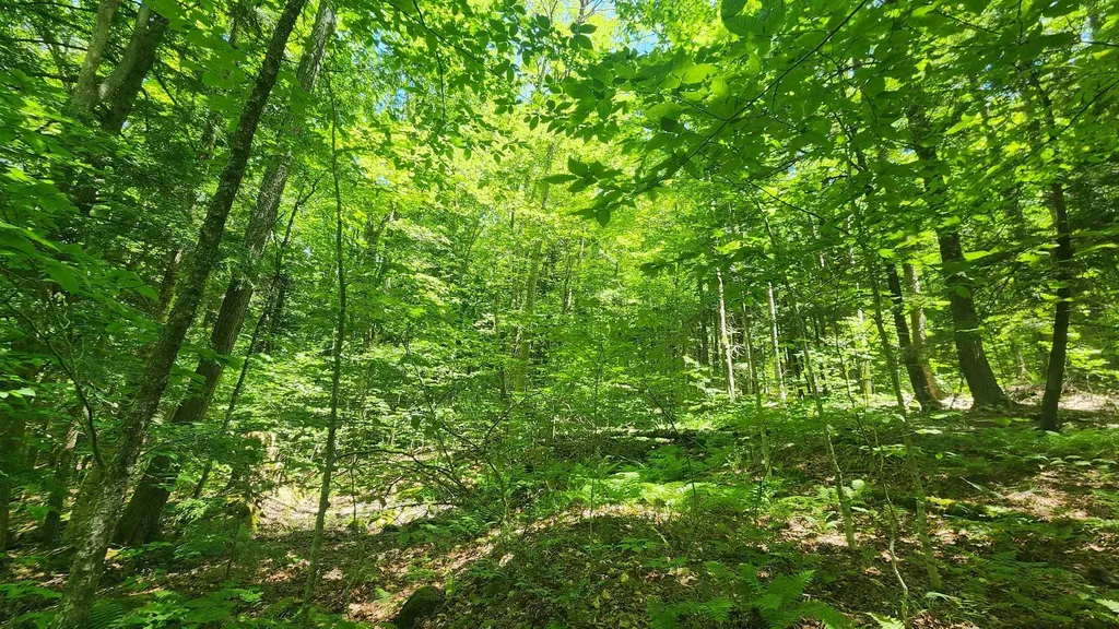 00 Hillcrest Road Andover VT 05143