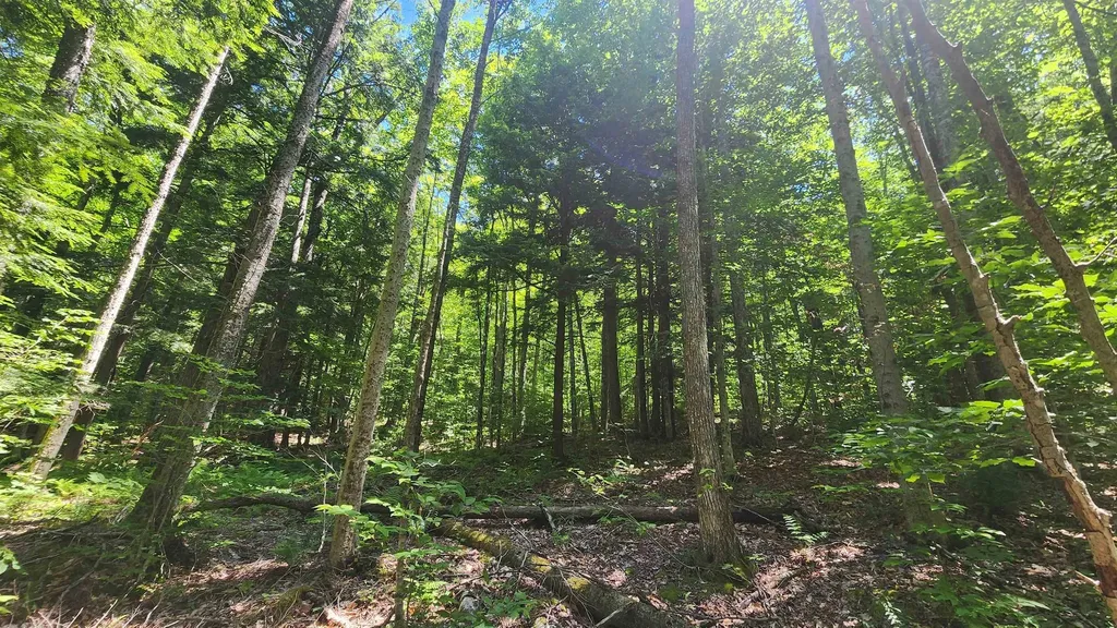 00 Hillcrest Road Andover VT 05143