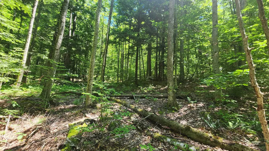 00 Hillcrest Road Andover VT 05143