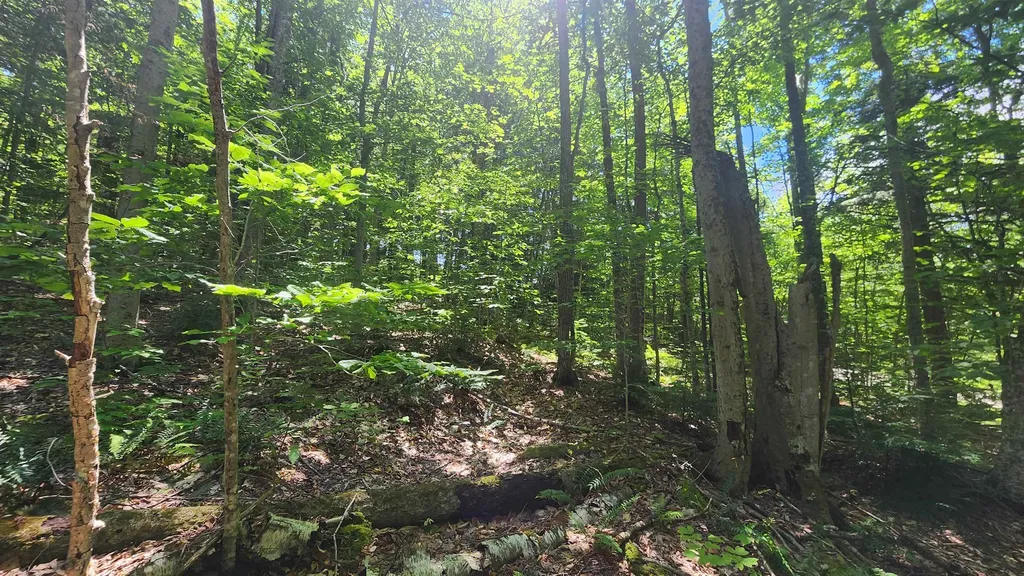 00 Hillcrest Road Andover VT 05143