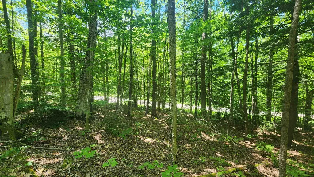 00 Hillcrest Road Andover VT 05143