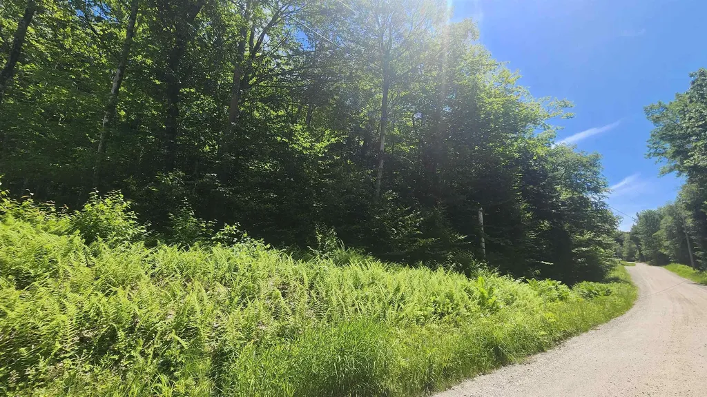 00 Hillcrest Road Andover VT 05143