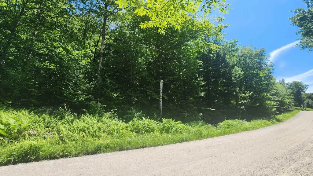 00 Hillcrest Road Andover VT 05143