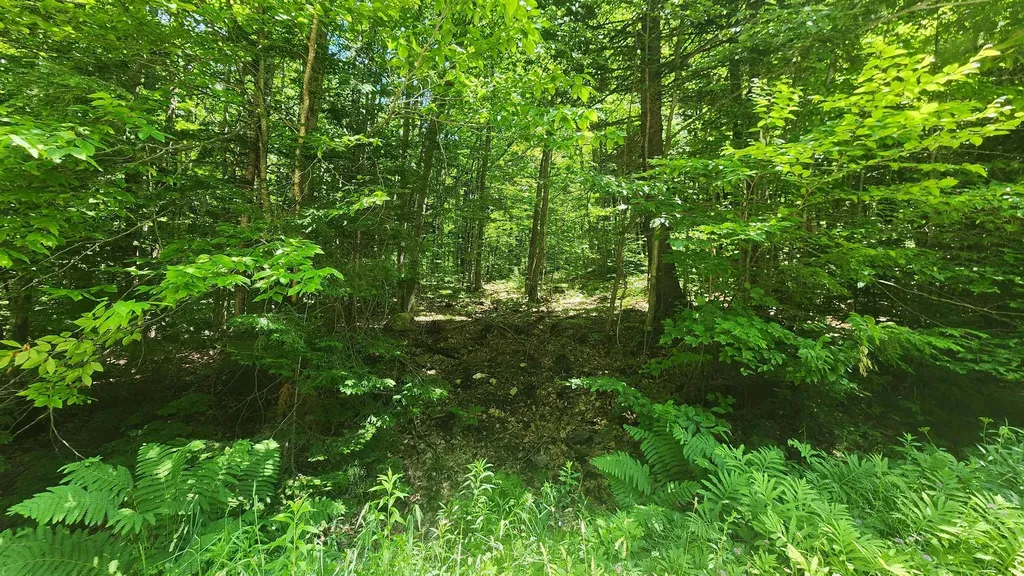 00 Hillcrest Road Andover VT 05143