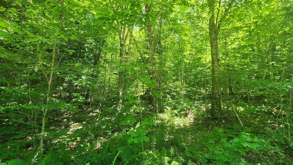 00 Hillcrest Road Andover VT 05143