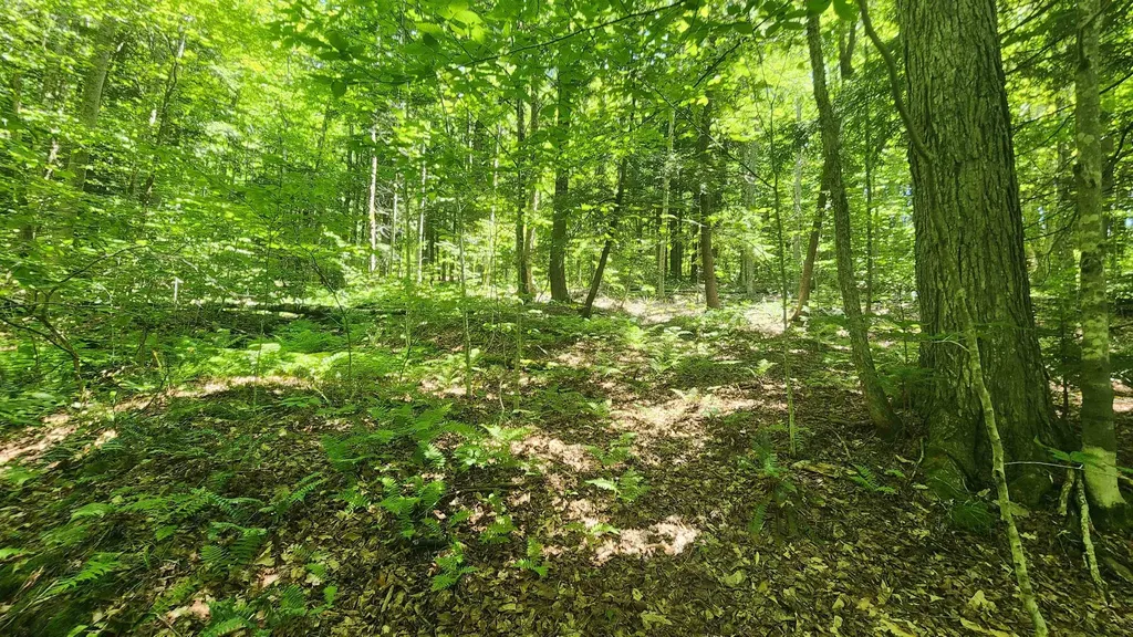 00 Hillcrest Road Andover VT 05143