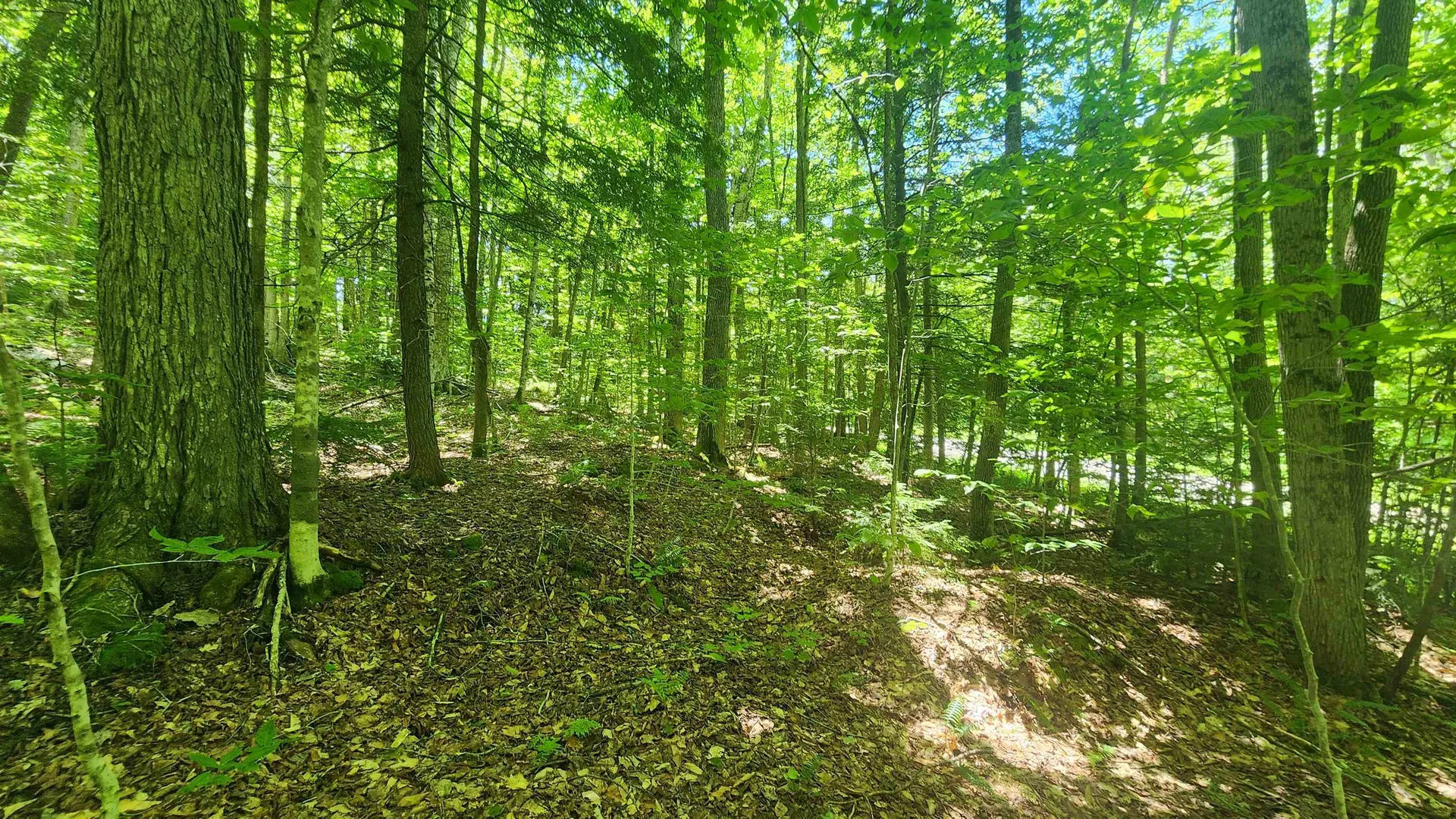 00 Hillcrest Road Andover VT 05143