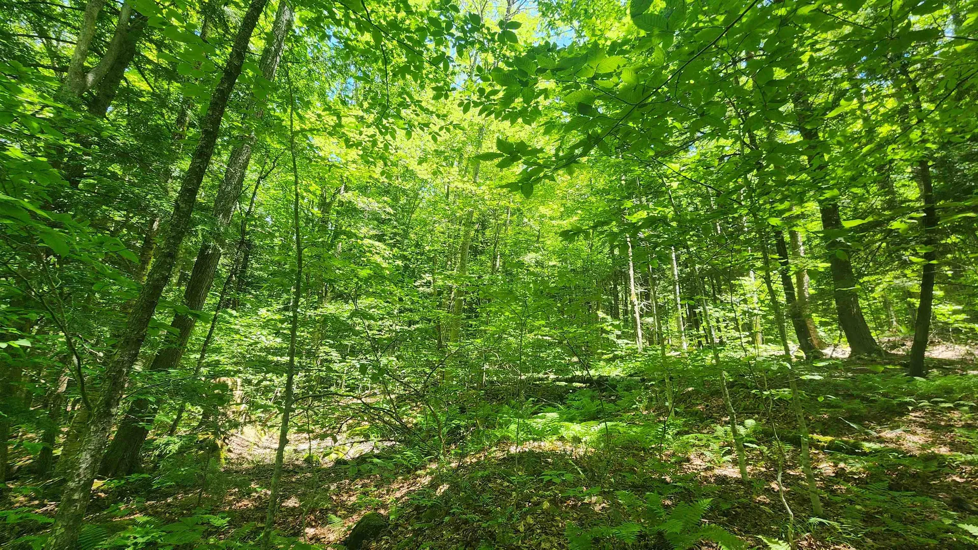 00 Hillcrest Road Andover VT 05143