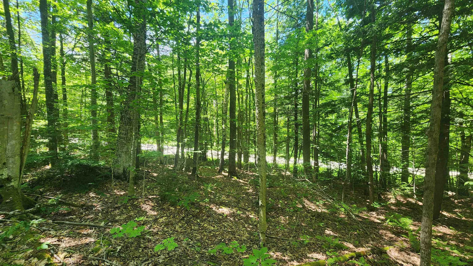 00 Hillcrest Road Andover VT 05143