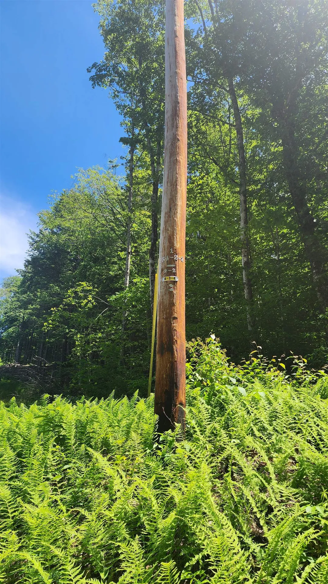 00 Hillcrest Road Andover VT 05143