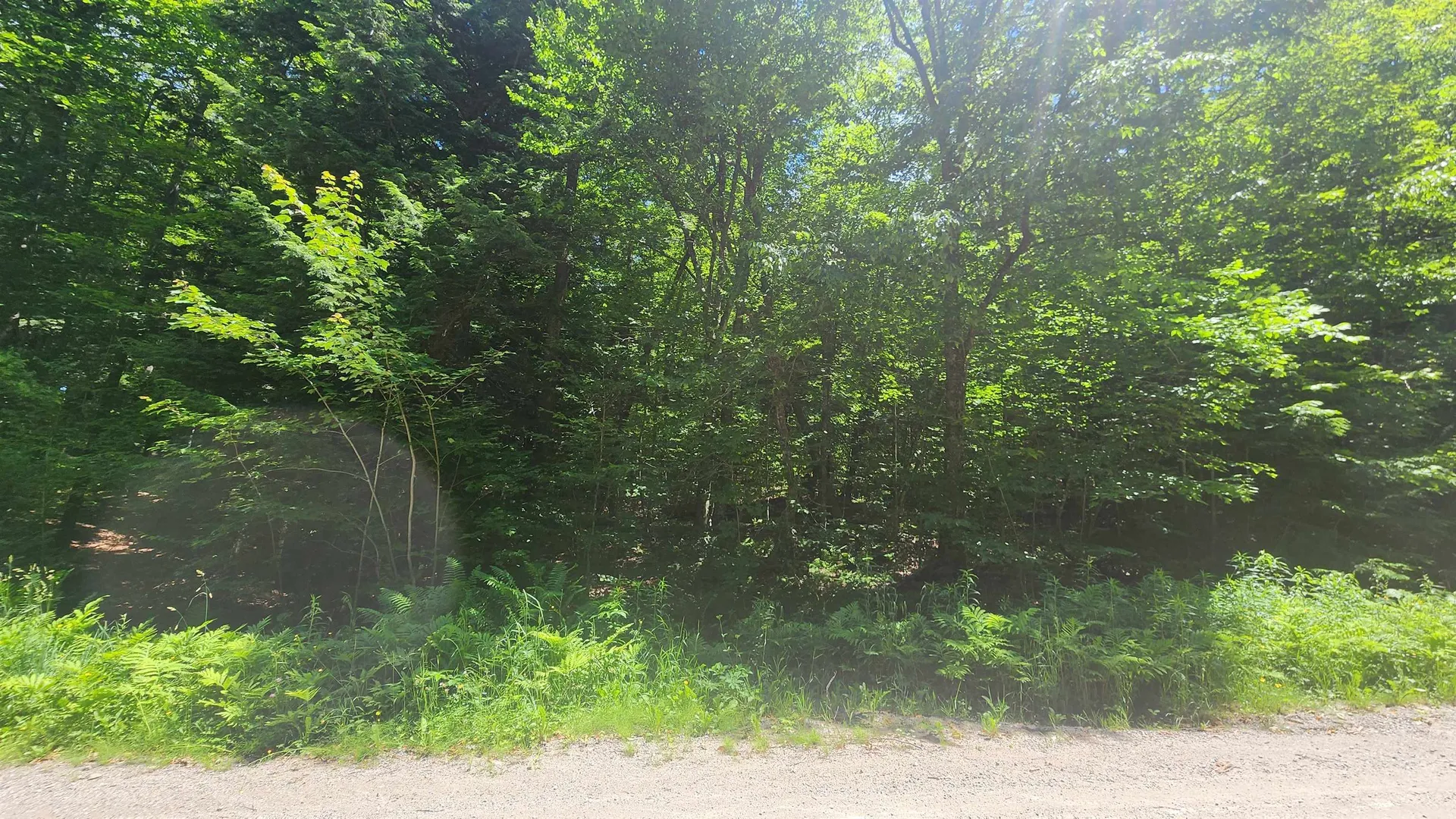 00 Hillcrest Road Andover VT 05143