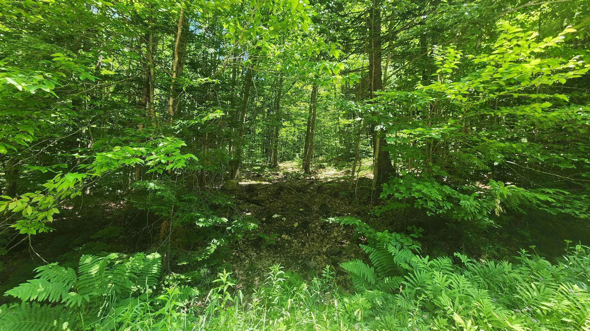 00 Hillcrest Road Andover VT 05143