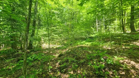 00 Hillcrest Road Andover VT 05143