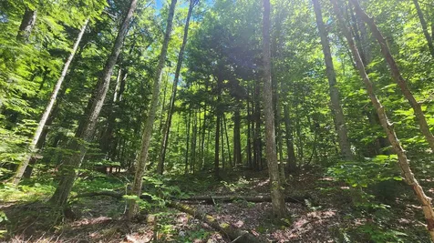 00 Hillcrest Road Andover VT 05143