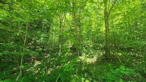 00 Hillcrest Road Andover VT 05143