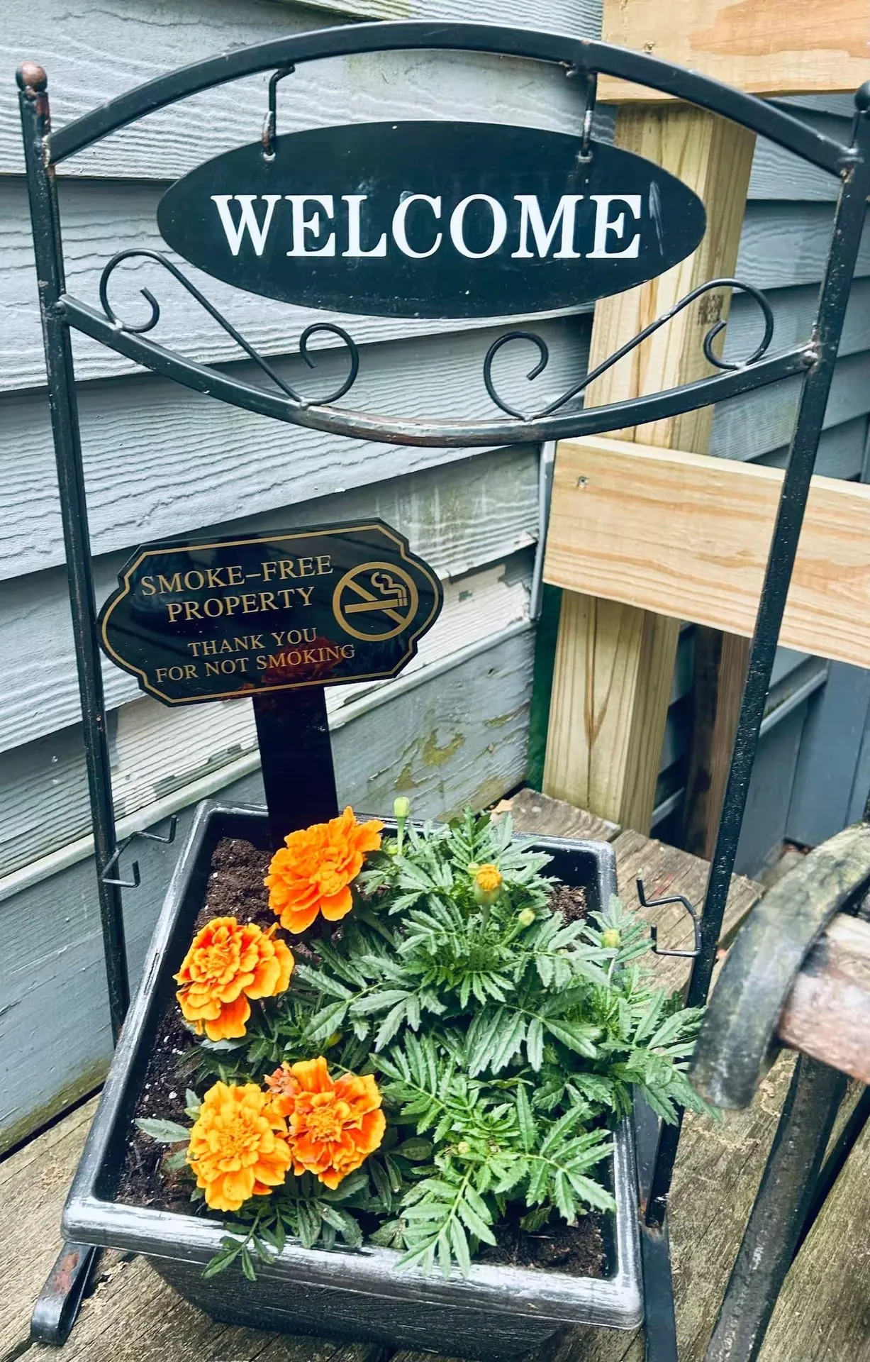 26 Condo Road Campton NH 03223