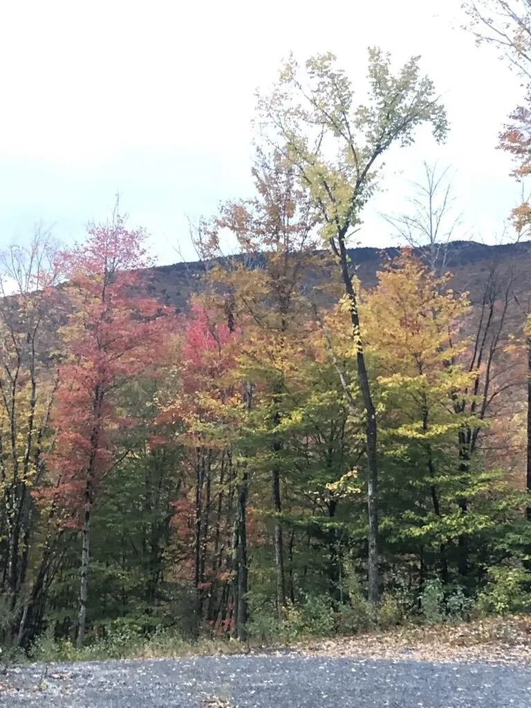 1430 Back Road Belvidere VT 05442