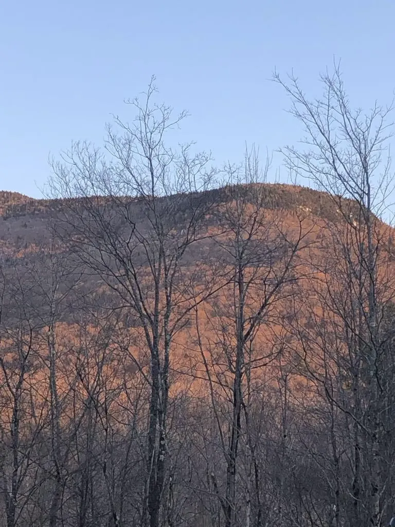 1430 Back Road Belvidere VT 05442