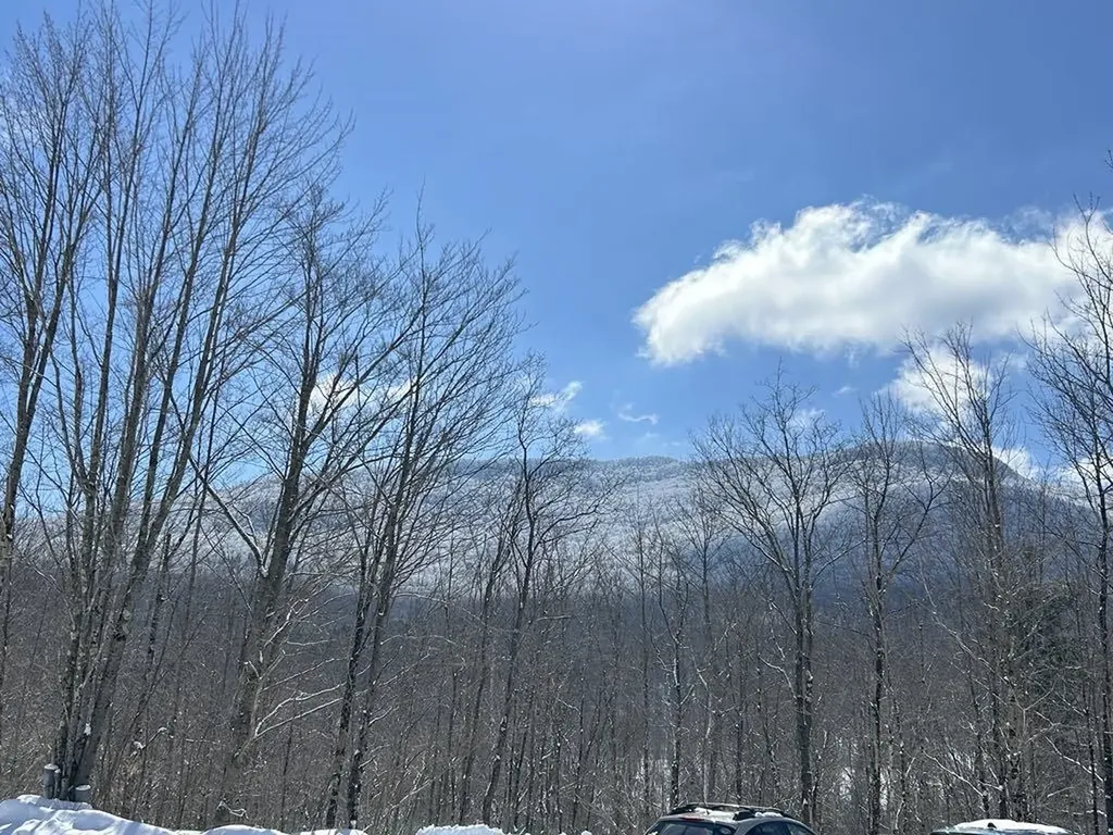 1430 Back Road Belvidere VT 05442