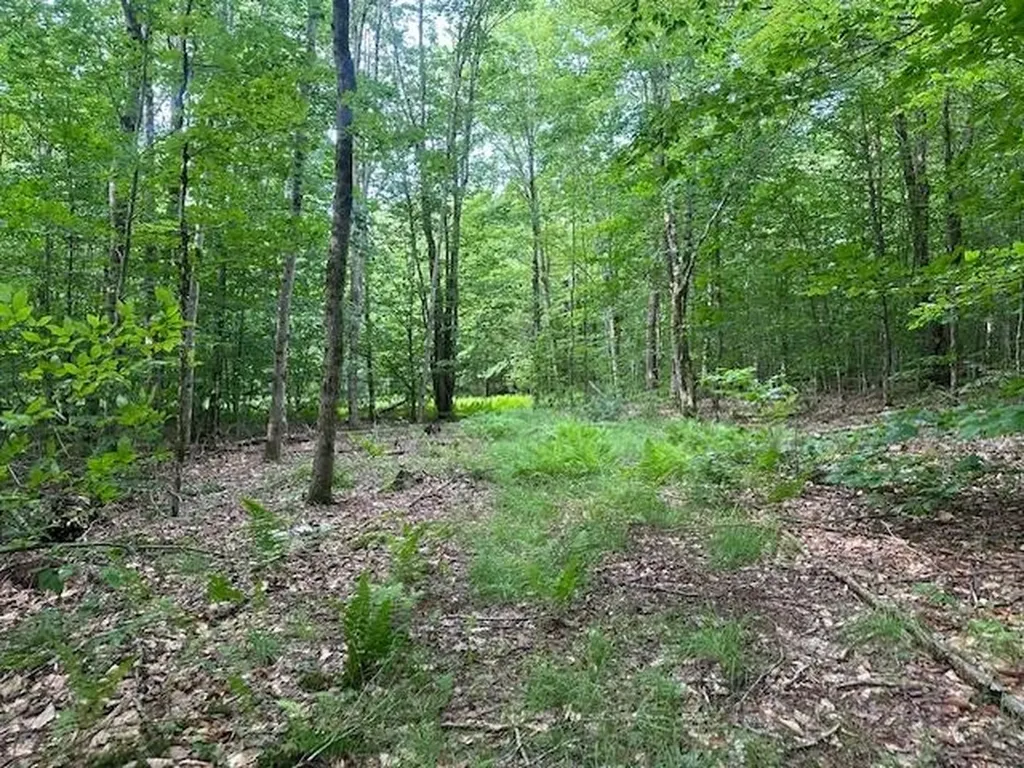 1430 Back Road Belvidere VT 05442