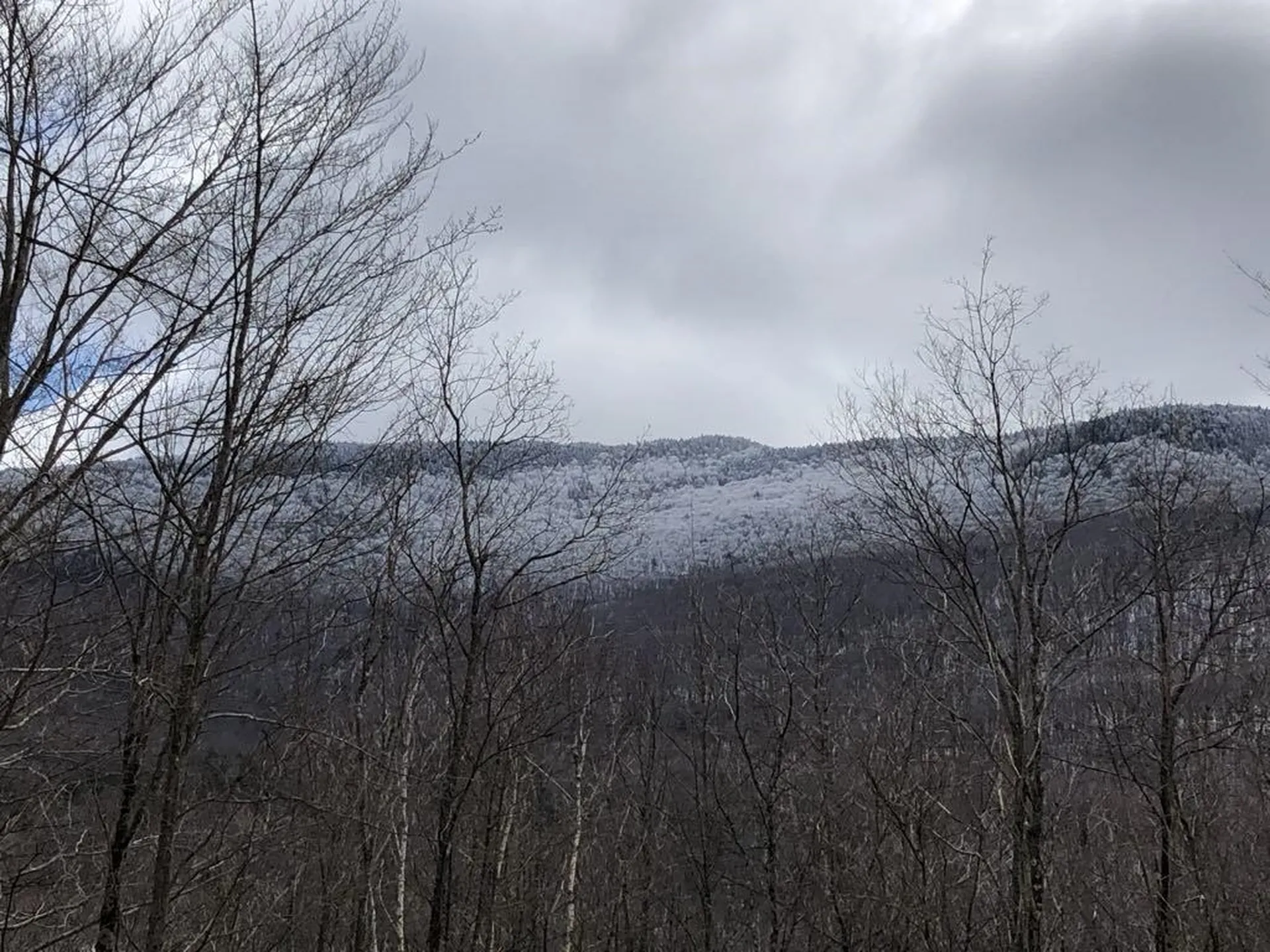 1430 Back Road Belvidere VT 05442