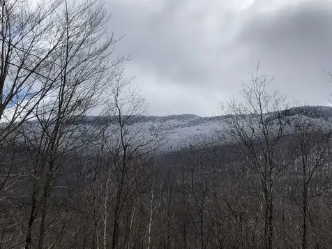 1430 Back Road Belvidere VT 05442