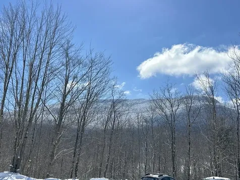 1430 Back Road Belvidere VT 05442