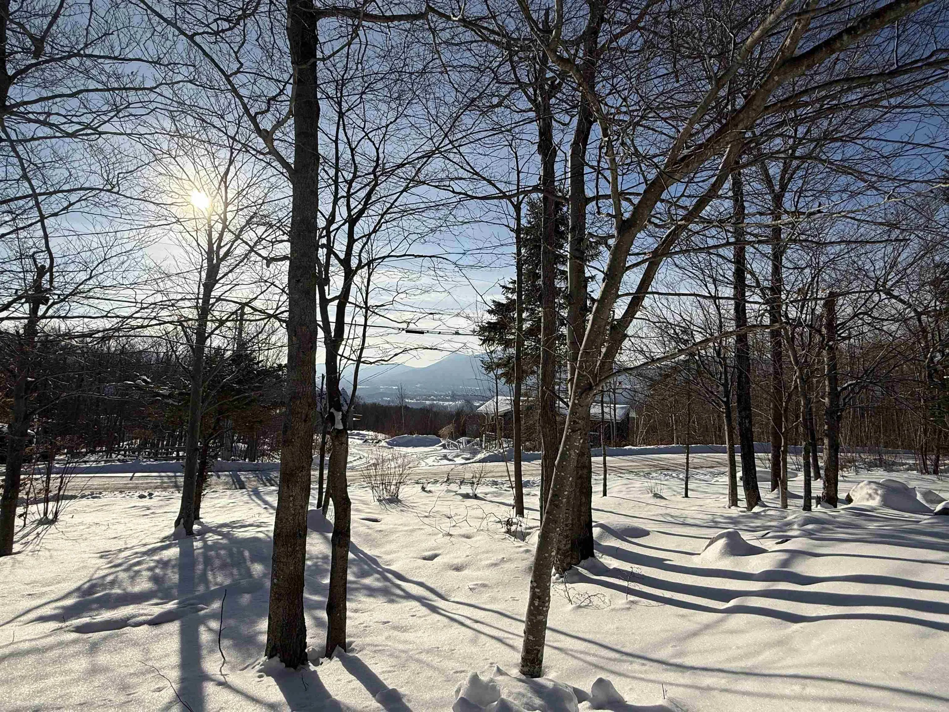 22 Bromley Forest Road Winhall VT 05340