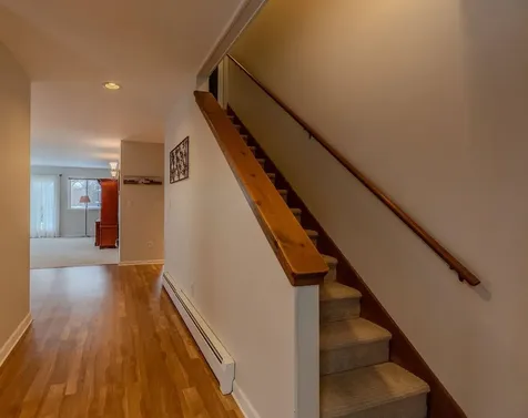 22 Bromley Forest Road Winhall VT 05340