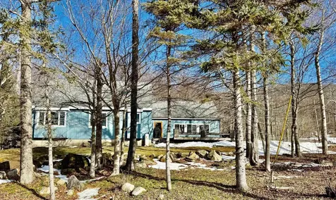 22 Bromley Forest Road Winhall VT 05340