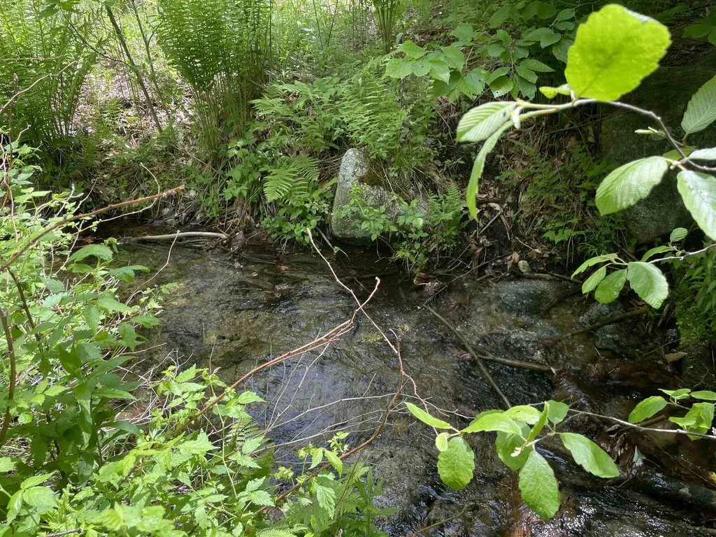 371 Range Road Sandwich NH 03227