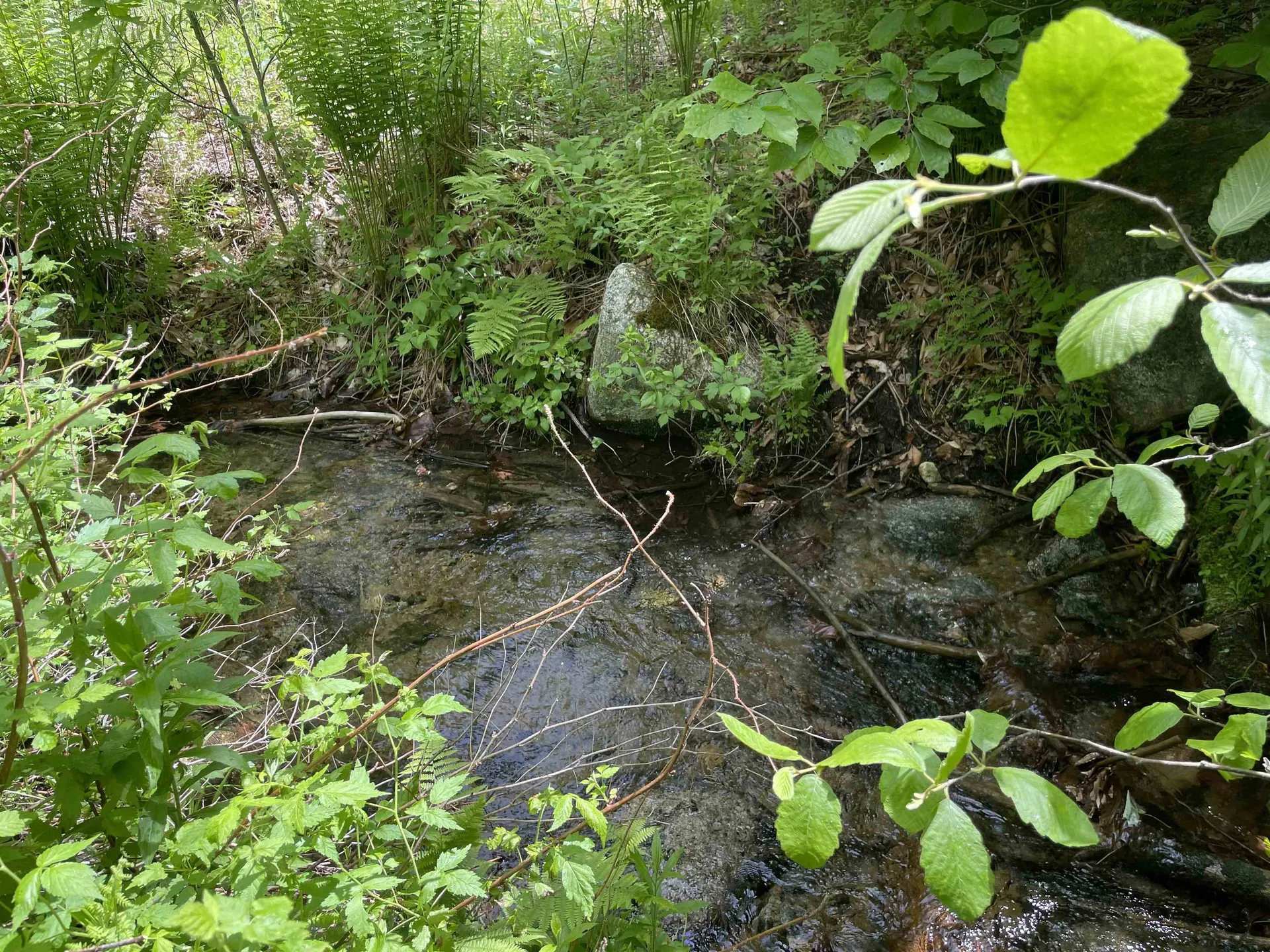 371 Range Road Sandwich NH 03227