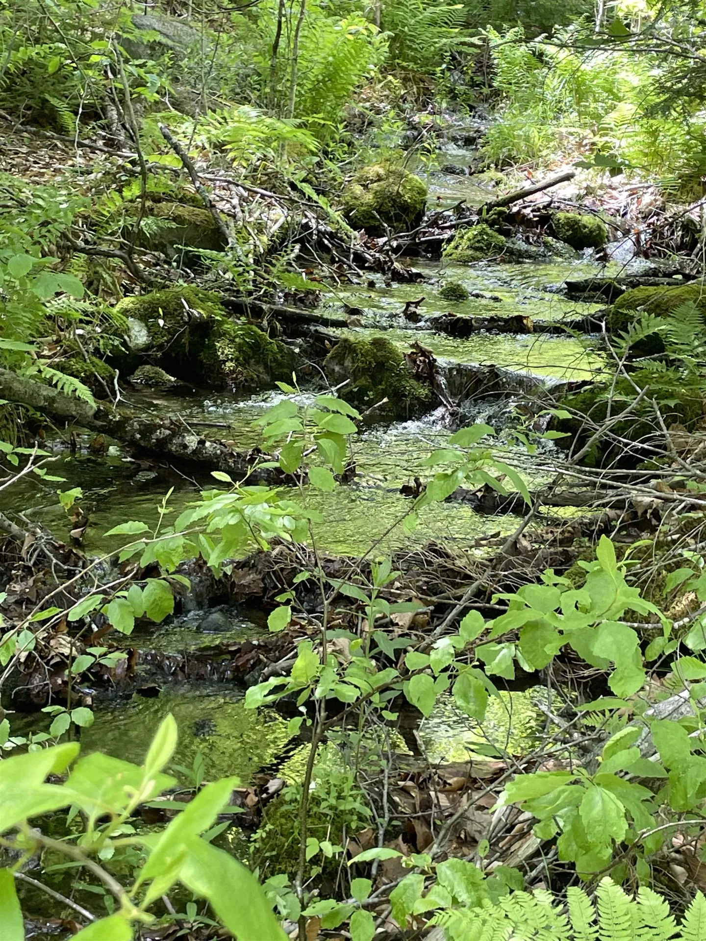 371 Range Road Sandwich NH 03227