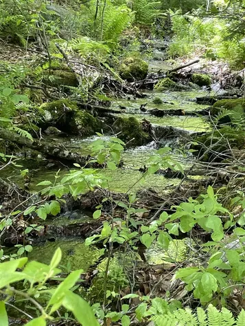 371 Range Road Sandwich NH 03227