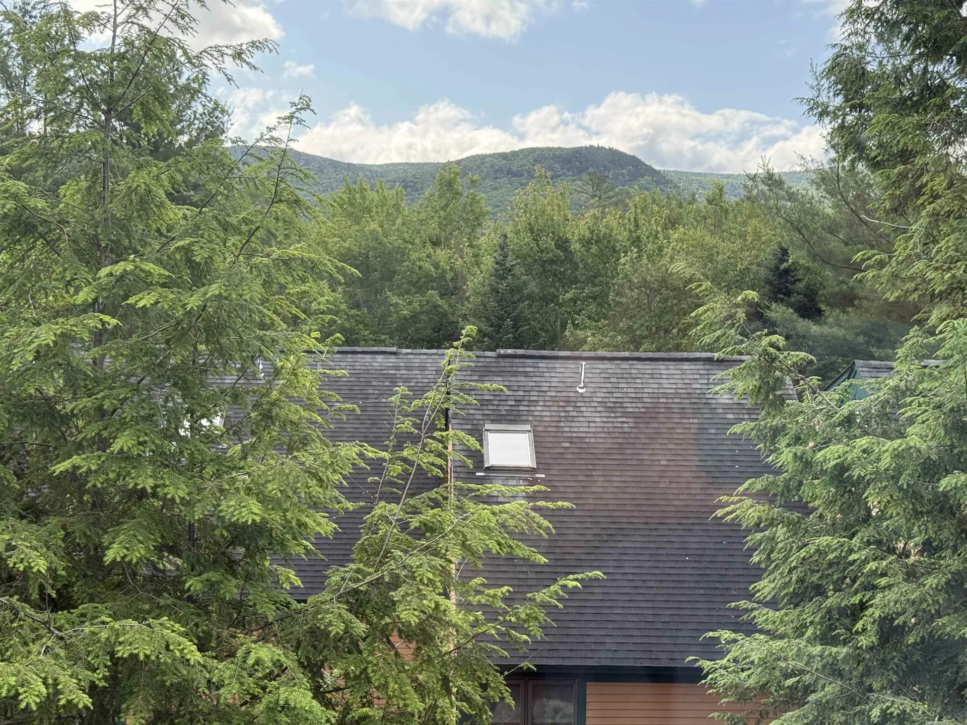 13 Mount Sun Way Waterville Valley NH 03215