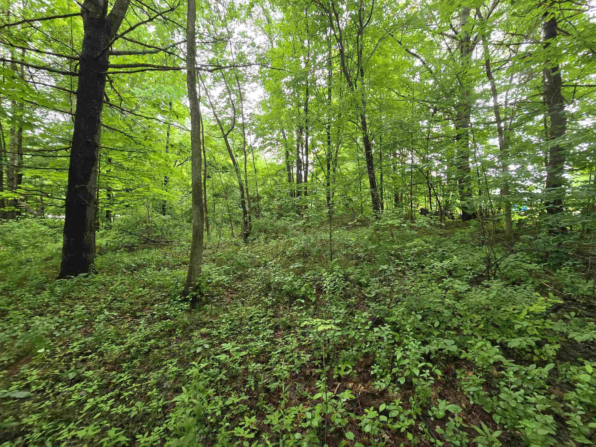 0 Washington Street Rochester NH 03839