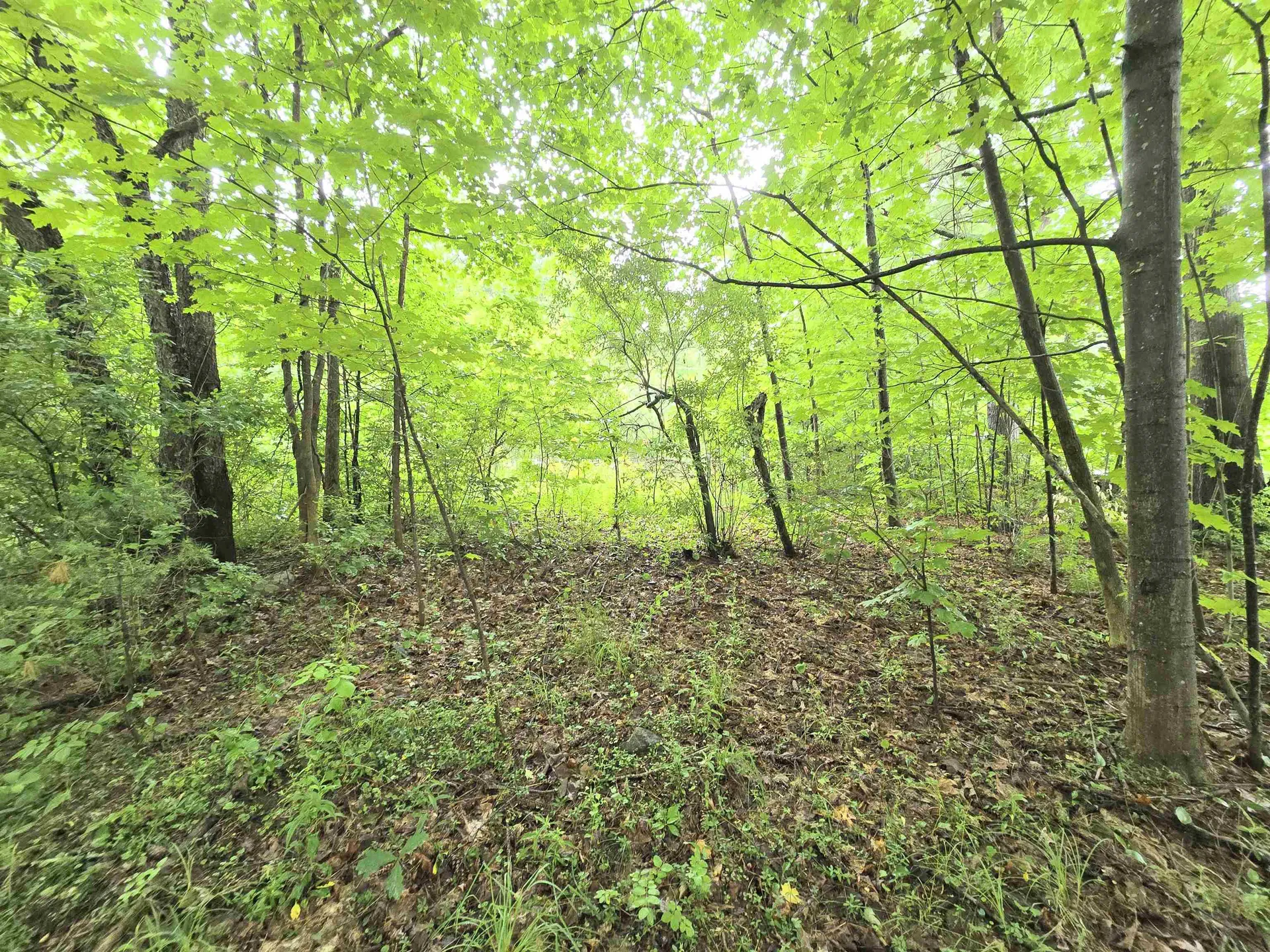 0 Washington Street Rochester NH 03839