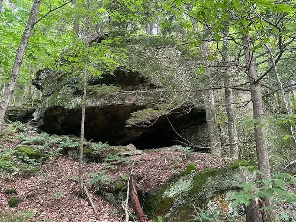 1430 Back Road Belvidere VT 05442