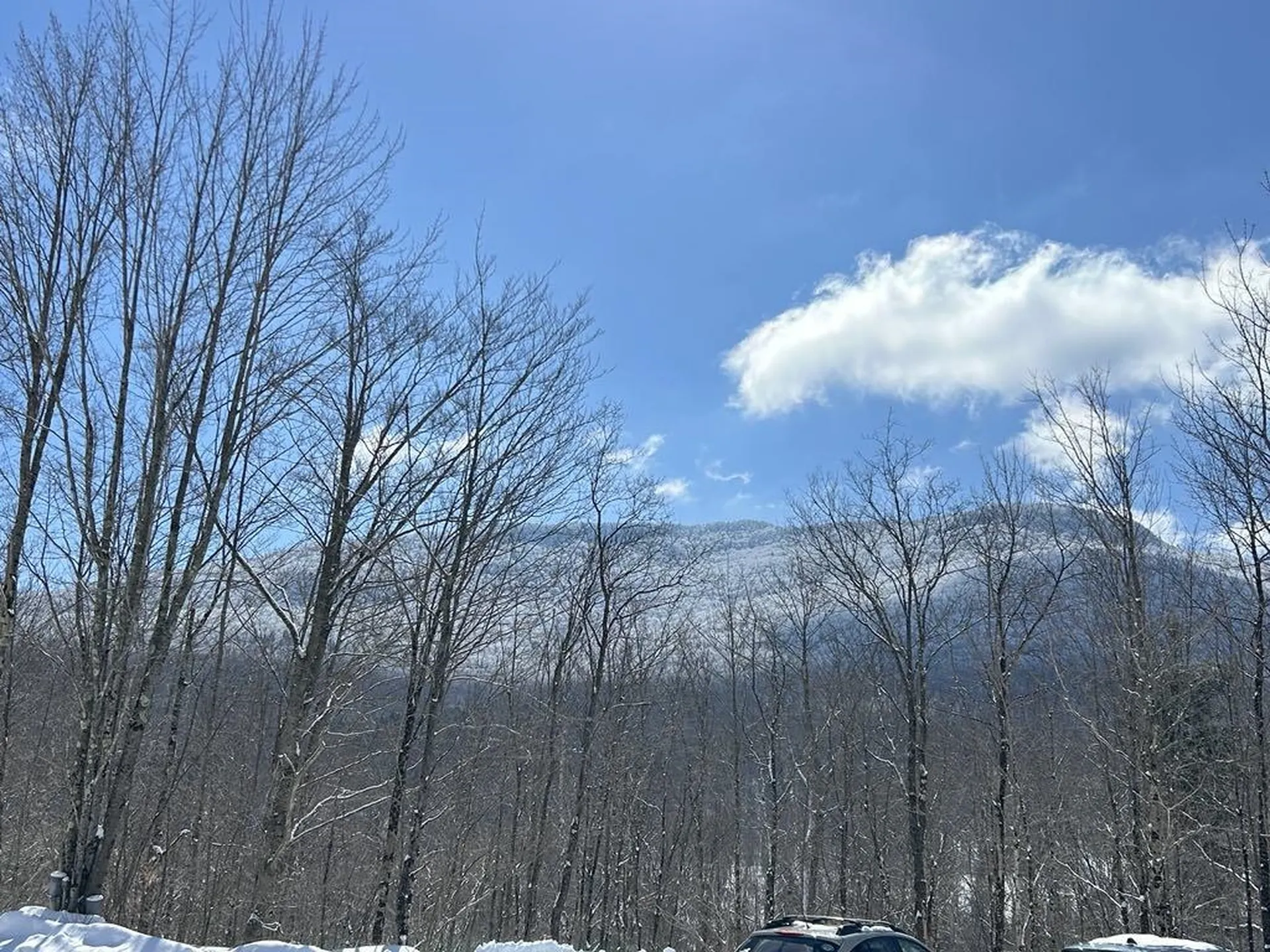 1430 Back Road Belvidere VT 05442