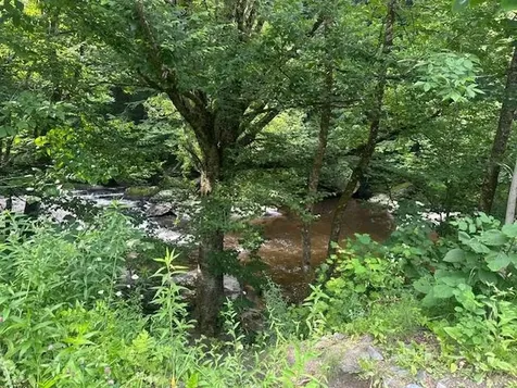 1430 Back Road Belvidere VT 05442