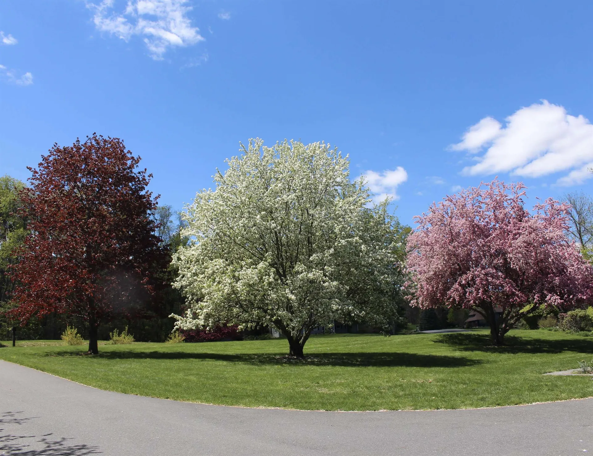 65 Hillwinds North Road Brattleboro VT 05301