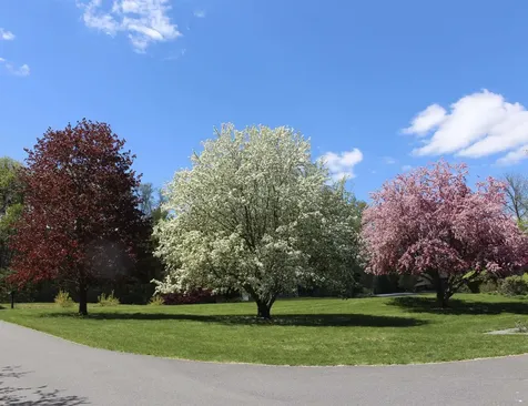 65 Hillwinds North Road Brattleboro VT 05301