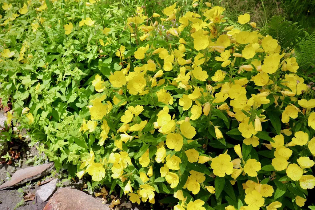 1 Dorr Fitch Road Dover VT 05356