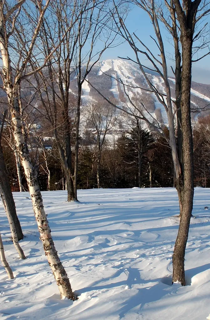 1 Dorr Fitch Road Dover VT 05356