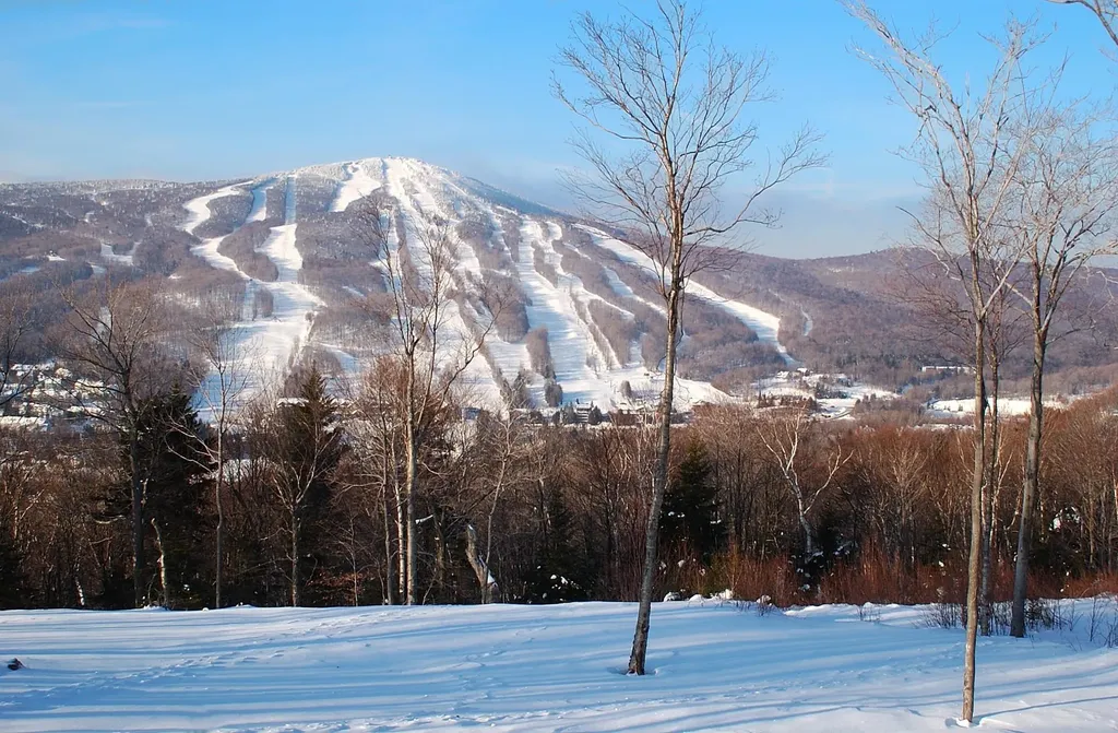 1 Dorr Fitch Road Dover VT 05356